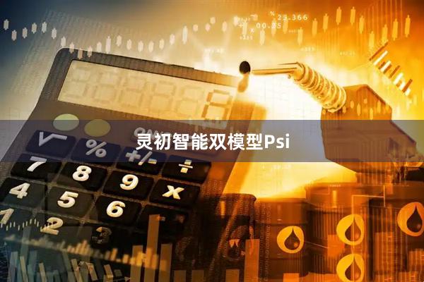 灵初智能双模型Psi